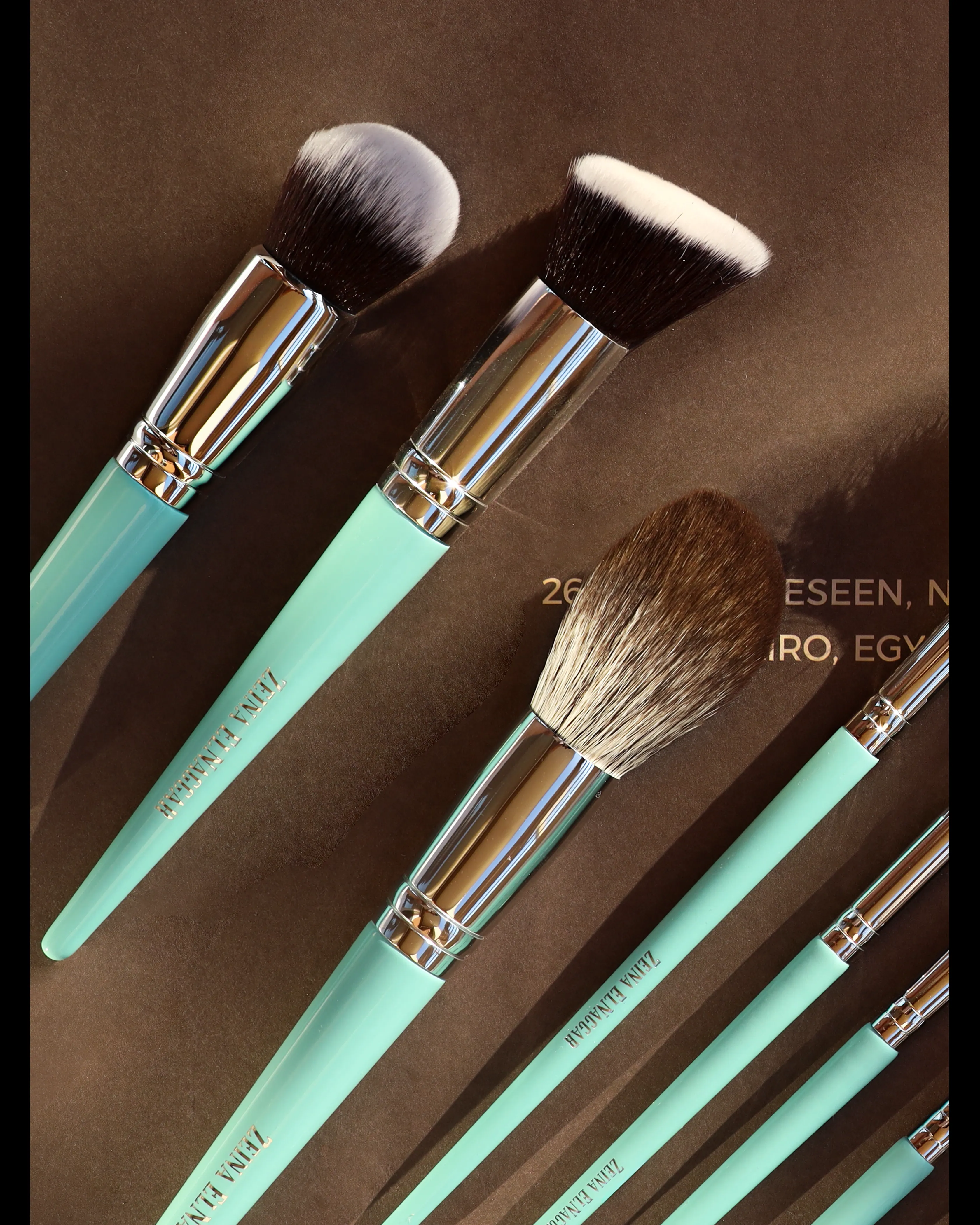 Zeina El Nagar Makeup  brusuhes (40 professional Set)