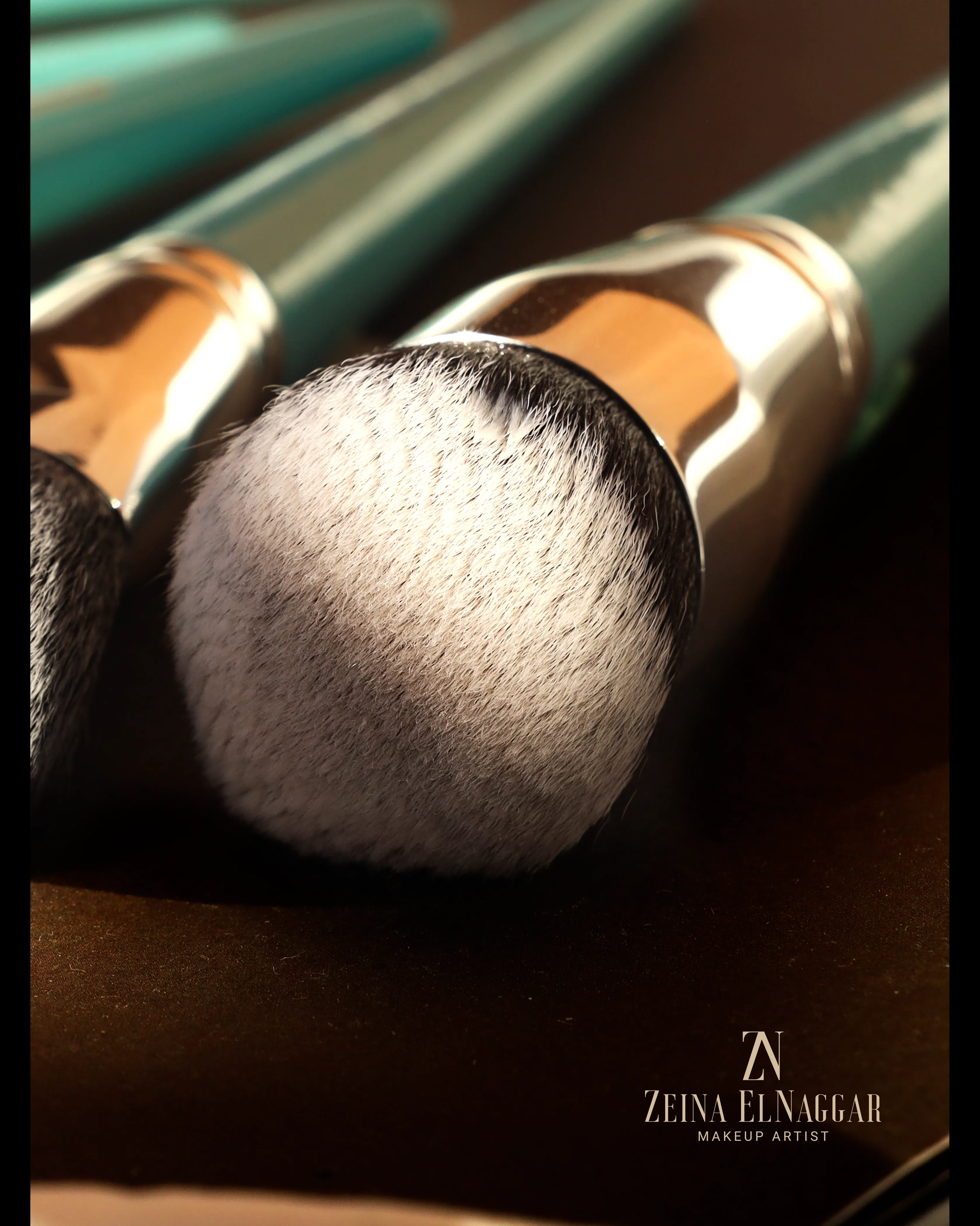 Zeina El Nagar Makeup  brusuhes (40 professional Set)