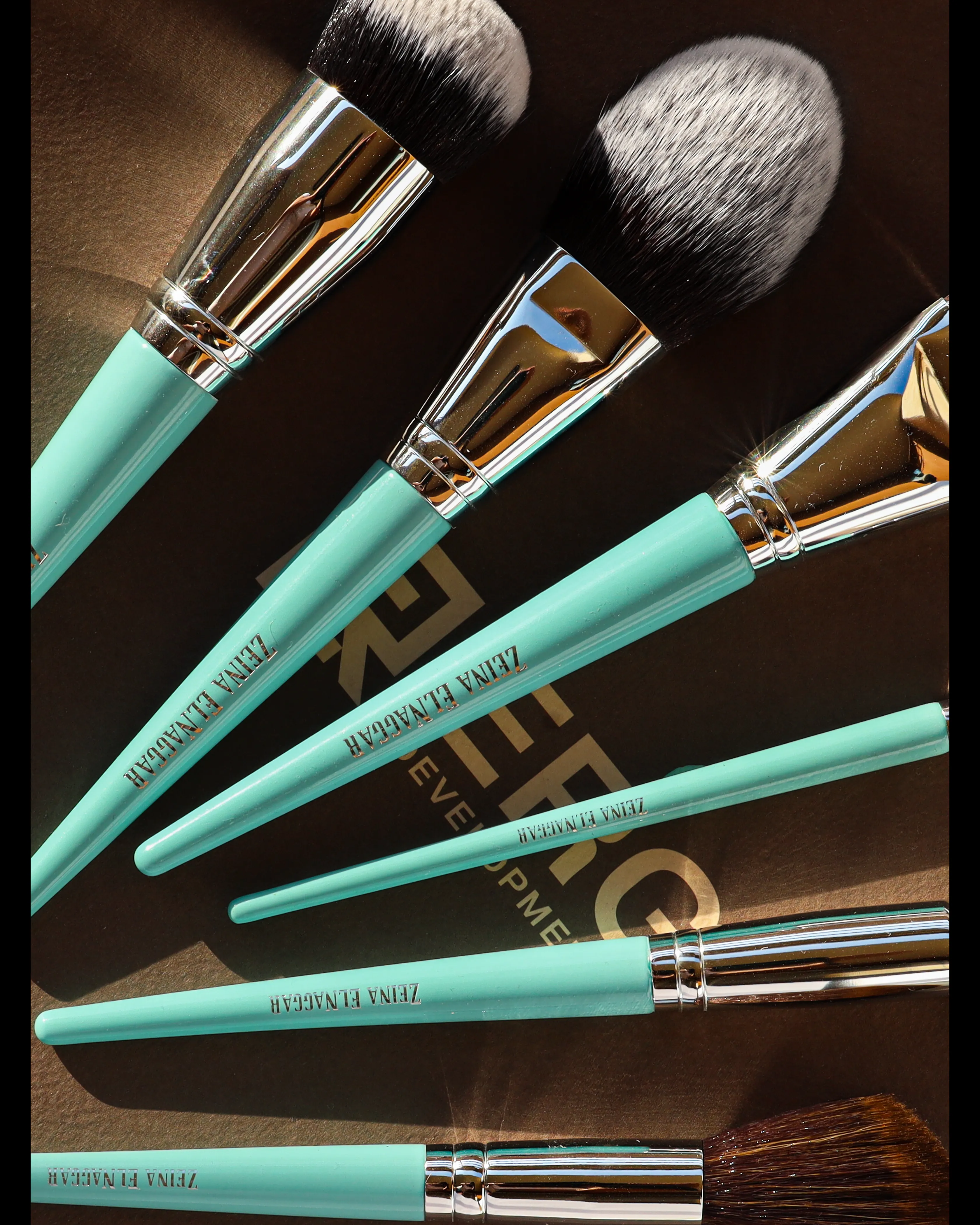 Zeina El Nagar Makeup  brusuhes (40 professional Set)