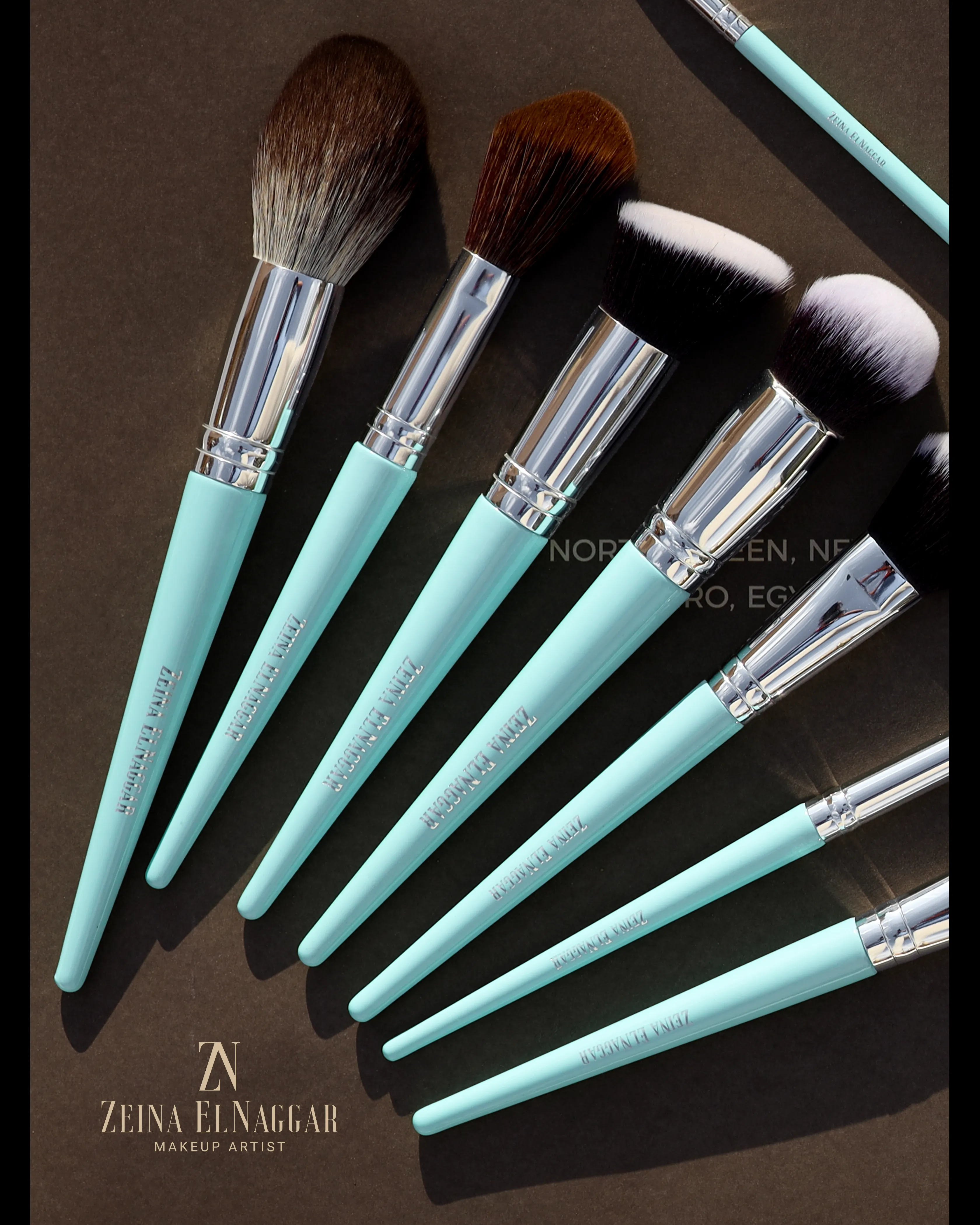 Zeina El Nagar Makeup  brusuhes (40 professional Set)